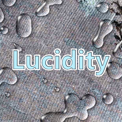 lucidity