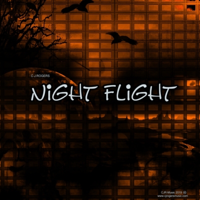 night_flight