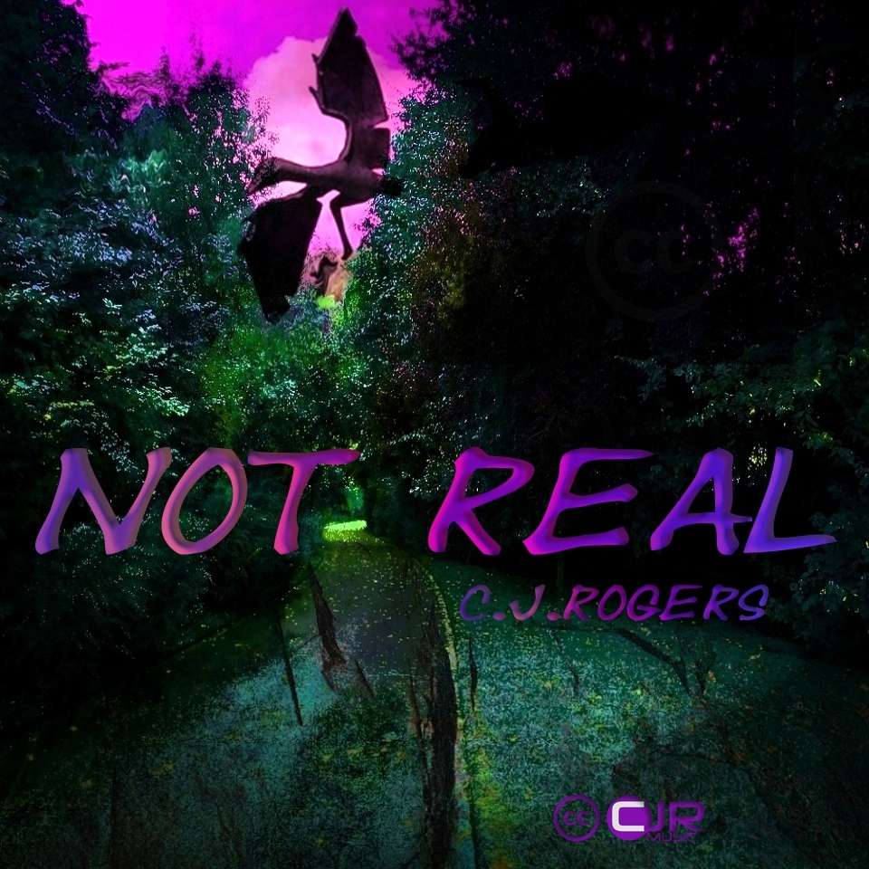 Not Real - Fullsize Cover Art